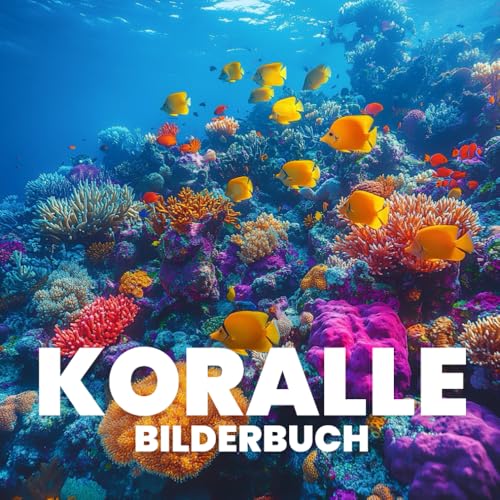 Koralle Bilderbuch von Independently published