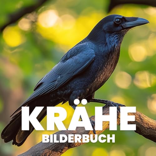 Krähe Bilderbuch von Independently published