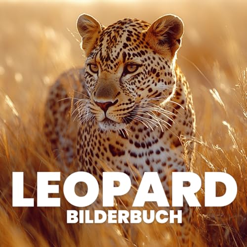 Leopard Bilderbuch von Independently published