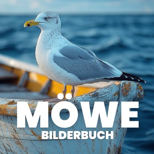 Möwe Bilderbuch von Independently published