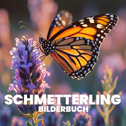 Schmetterling Bilderbuch von Independently published