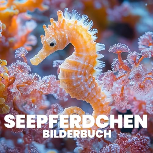 Seepferdchen Bilderbuch von Independently published