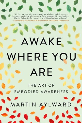 Awake Where You Are: The Art of Embodied Awareness von Wisdom Publications
