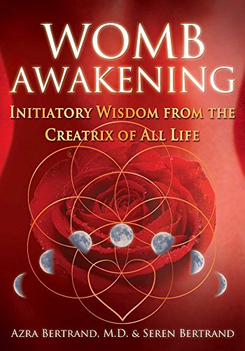 Womb Awakening: Initiatory Wisdom from the Creatrix of All Life von Bear & Company