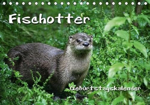 Fischotter Geburtstagskalender (Tischkalender immerwährend DIN A5 quer) von CALVENDO