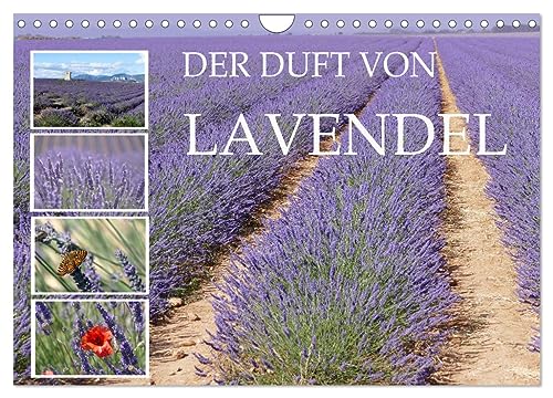 Der Duft von Lavendel (Wandkalender 2024 DIN A4 quer), CALVENDO Monatskalender von CALVENDO
