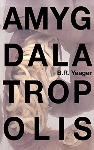 Amygdalatropolis von CREATESPACE