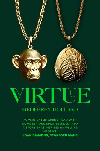 VIRTUE VIRTUE von Authors Book Publishing