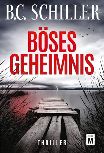 Böses Geheimnis: Thriller (Levi Kant, 1)