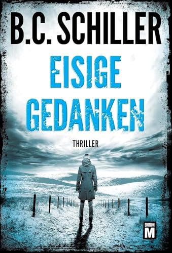 Eisige Gedanken (David Stein, 6) von Edition M