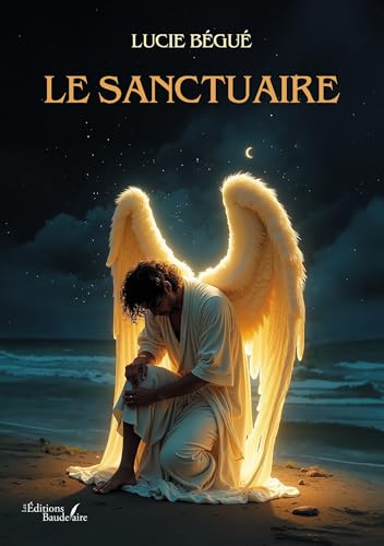 Le sanctuaire von Baudelaire