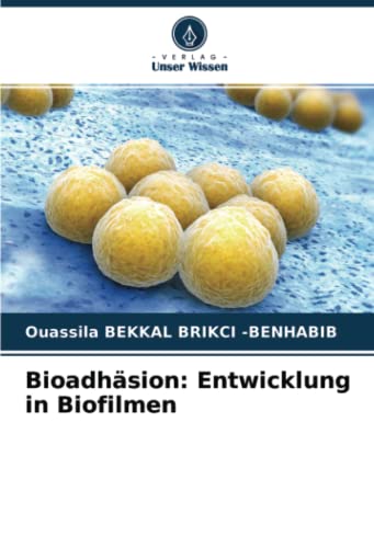 Bioadhäsion: Entwicklung in Biofilmen