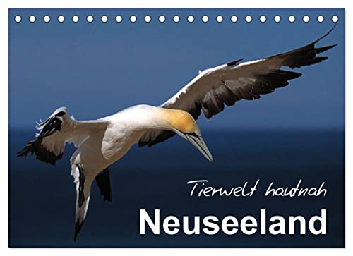 Neuseeland - Tierwelt hautnah (Tischkalender 2023 DIN A5 quer): Erleben Sie Neuseelands einzigartige Tierwelt! (Monatskalender, 14 Seiten ) (CALVENDO Tiere)