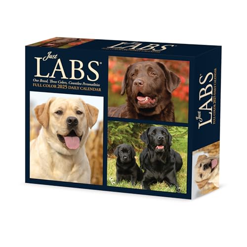 Labs 2025 6.2 X 5.4 Box Calendar Labs 2025 6.2 X 5.4 Box Calendar