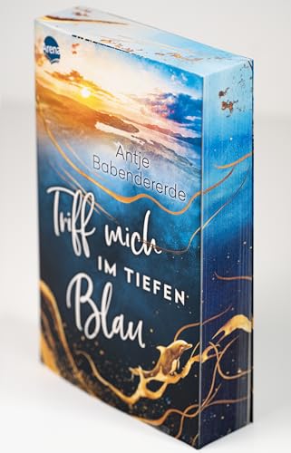 Triff mich im tiefen Blau: Zartbitterer Liebesroman auf einer rau-romantischen Hebriden-Insel am Rande Schottlands vor dem Hintergrund brandaktueller ... (Mit Farbschnitt in der 1. Auflage)