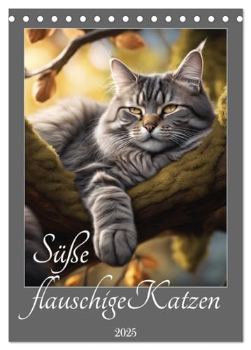 Süße flauschige Katzen (Tischkalender 2025 DIN A5 hoch), CALVENDO Monatskalender von CALVENDO