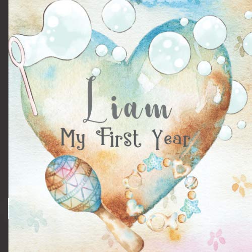 Liam: Record and Celebrate Your Baby's 1st Year With This Baby Milestone Journal von Independently published