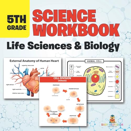 5th Grade Science Workbook: Life Sciences & Biology 5th Grade Science Workbook: Life Sciences & Biology von Baby Professor