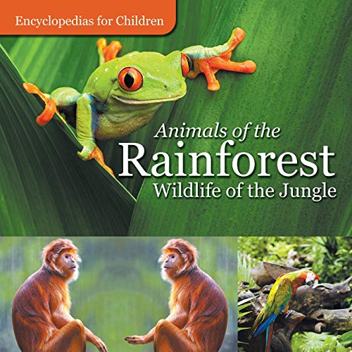 Animals of the Rainforest |  Wildlife of the Jungle  | Encyclopedias for Children von Baby Professor