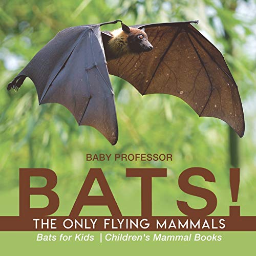 BATS! The Only Flying Mammals Bats for Kids Children's Mammal Books von Baby Professor