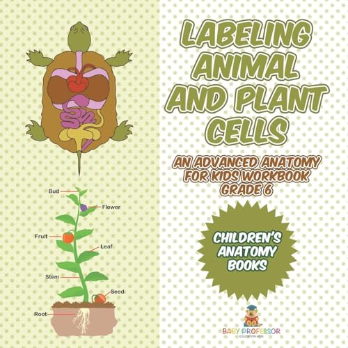 Labeling Animal and Plant Cells - An Advanced Anatomy for Kids Workbook Grade 6 Children's Anatomy Books Labeling Animal and Plant Cells - An Advanced Anatomy for Kids Workbook Grade 6 Children's Anatomy Books von Baby Professor