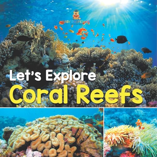 Let's Explore Coral Reefs von Baby Professor