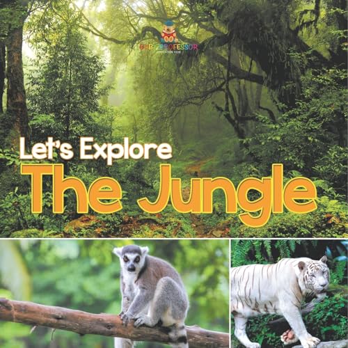 Let's Explore the Jungle Let's Explore the Jungle von Baby Professor