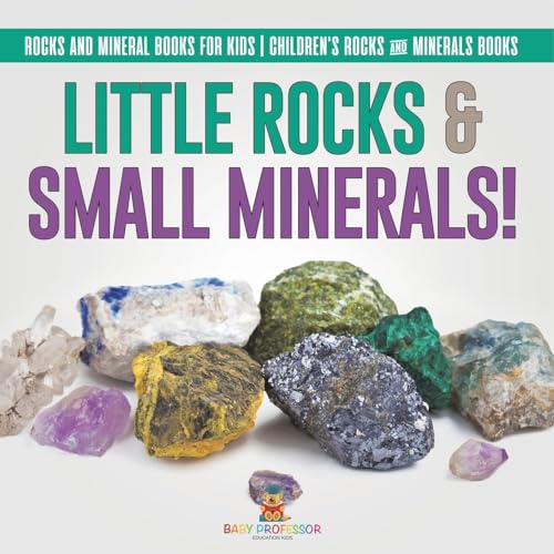 Little Rocks & Small Minerals! Rocks And Mineral Books for Kids Children's Rocks & Minerals Books von Baby Professor