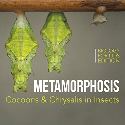 Metamorphosis: Cocoons & Chrysalis in Insects Biology for Kids Edition von Baby Professor