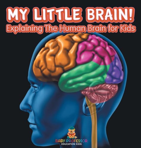 My Little Brain! - Explaining The Human Brain for Kids von Baby Professor