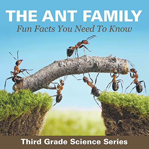 The Ant Family - Fun Facts You Need To Know: Third Grade Science Series von Baby Professor