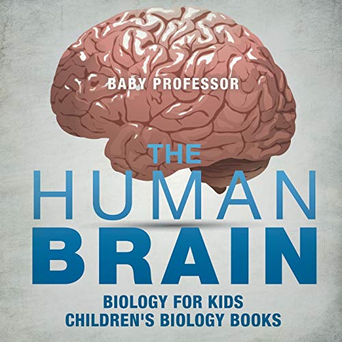 The Human Brain - Biology for Kids Children's Biology Books von Baby Professor