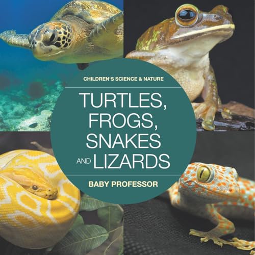 Turtles, Frogs, Snakes and Lizards Children's Science & Nature Turtles, Frogs, Snakes and Lizards Children's Science & Nature von Baby Professor