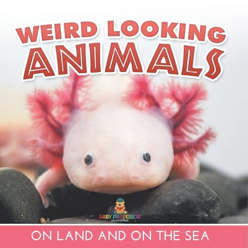 Weird Looking Animals On Land and On The Sea Weird Looking Animals On Land and On The Sea von Baby Professor