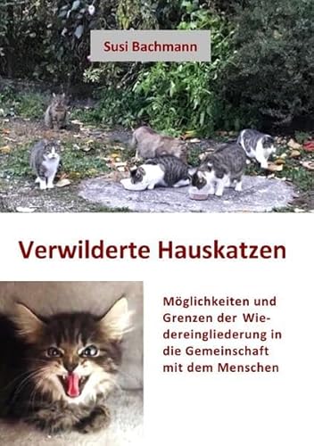 Verwilderte Hauskatzen: Möglichkeiten und Grenzen der Wiedereingliederung in die Gemeinschaft mit dem Menschen
