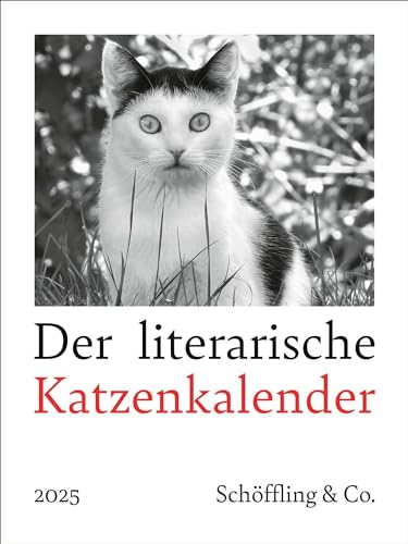 Der literarische Katzenkalender 2025 von Schöffling