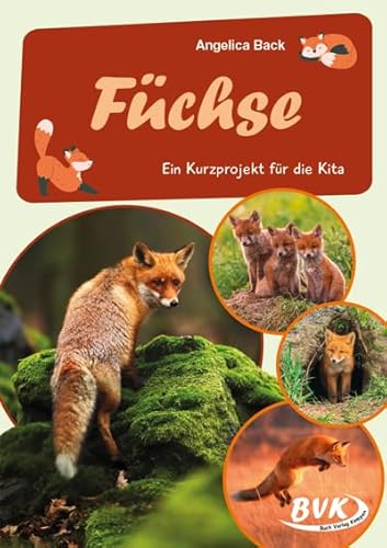 Füchse: Ein Kurzprojekt für die Kita (BVK-Kurzprojekte) von BVK Buch Verlag Kempen GmbH