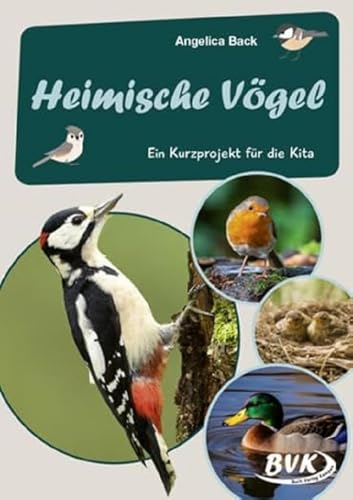Heimische Vögel: Ein Kurzprojekt für die Kita (Kita-Kurzprojekte) (Kindergarten kompakt: Material für Erzieher) (BVK-Kurzprojekte) von Buch Verlag Kempen