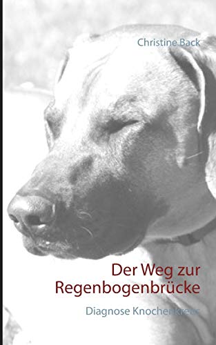 Der Weg zur Regenbogenbrücke: Diagnose Knochenkrebs