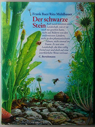 Der schwarze Stein