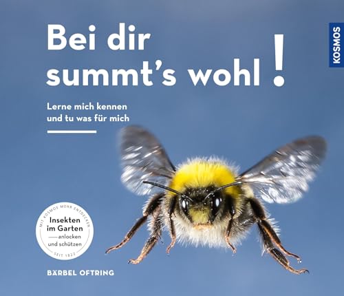 Bei Dir summts wohl