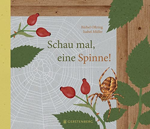 Schau mal, eine Spinne