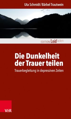 Die Dunkelheit der Trauer teilen: Trauerbegleitung in depressiven Zeiten (Edition Leidfaden – Begleiten bei Krisen, Leid, Trauer)