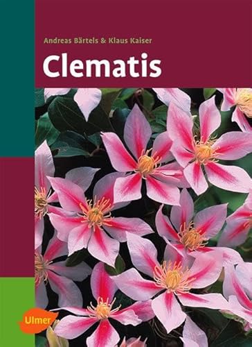 Clematis Clematis