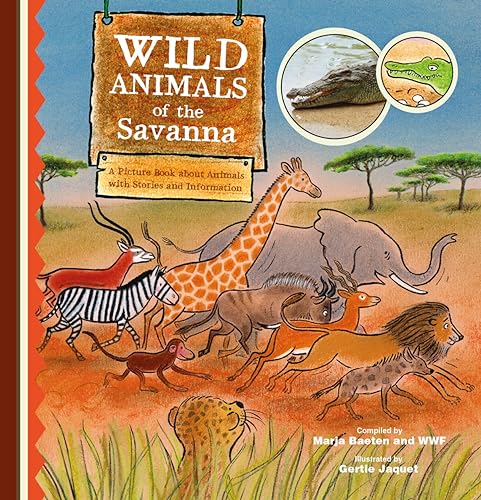 Wild Animals of the Savannah. A Picture Book about Animals with Stories and Information von Clavis