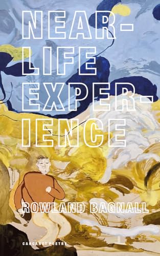 Near-life Experience von Carcanet Press Ltd