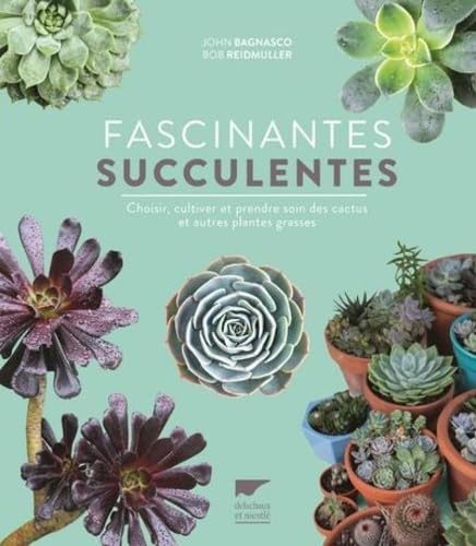 Fascinantes succulentes: Choisir, cultiver et prendre soin des cactus et autres plantes grasses von DELACHAUX et NIESTLE