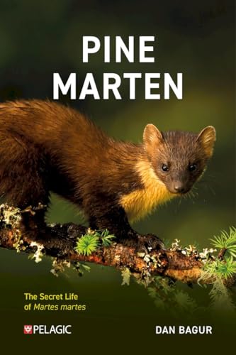 Pine Marten: The Secret Life of Martes Martes (Pelagic Monographs) von Pelagic Publishing