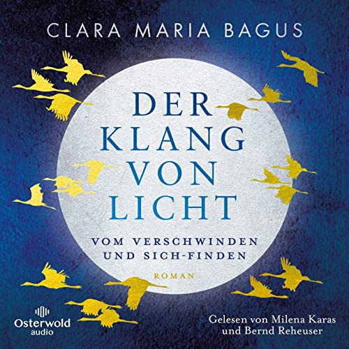 Der Klang von Licht: Vom Verschwinden und Sich-Finden: 6 CDs von OSTERWOLDaudio