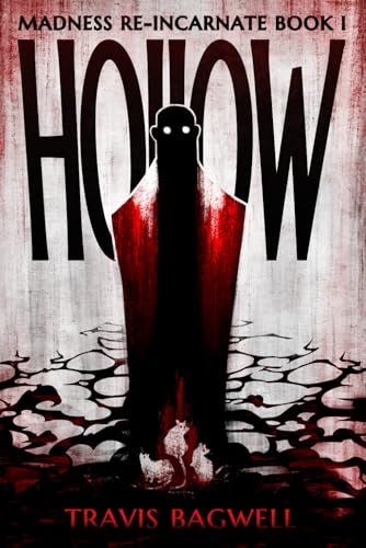Hollow: (Madness Re-Incarnate #1) von Independently published